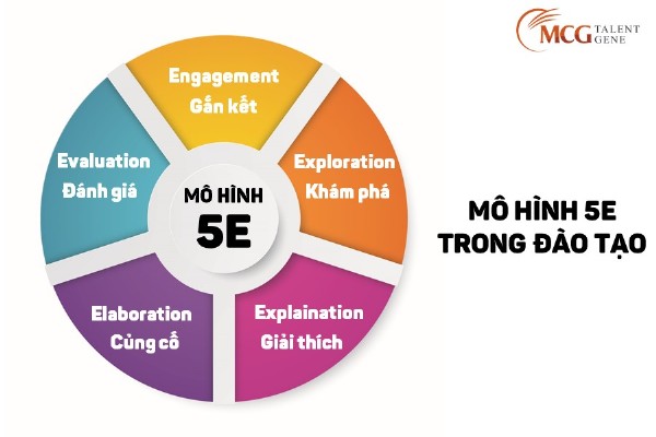 Mô hình 5E trong đào tạo