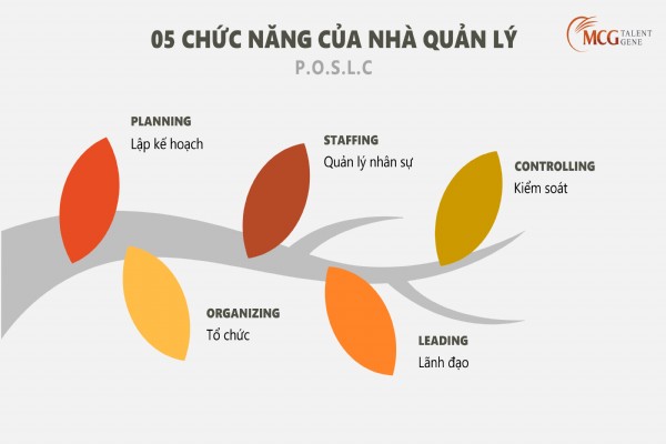 05 chức năng quan trọng của quản lý cấp trung