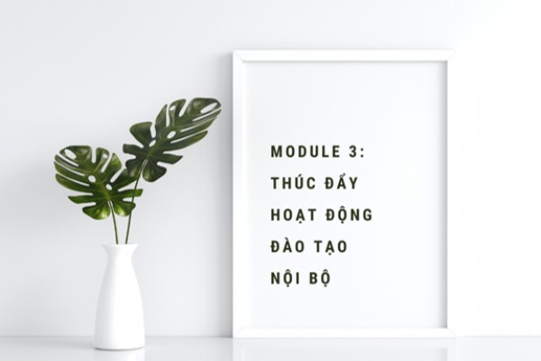 Recap khóa đào tạo “L&D 360 - Linh hoạt & Sáng tạo”: Module 3: Thúc đẩy hoạt động đào tạo nội bộ