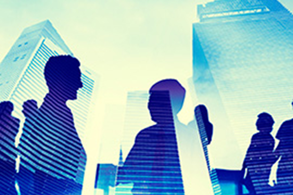 Communication and internal interaction skills